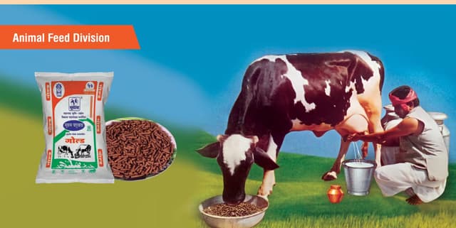 Animal Feed B2B Selling